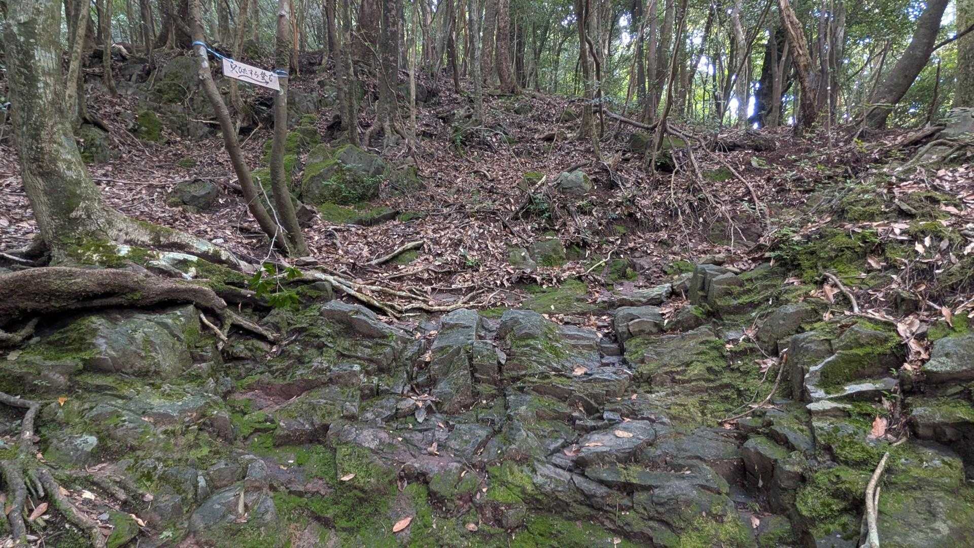 只ひたすら登る標識。
今日は蒸し暑く直ぐに滝汗で脱水症状気味になりました🥵。
アブを意識しながらの休憩に苦労しました。