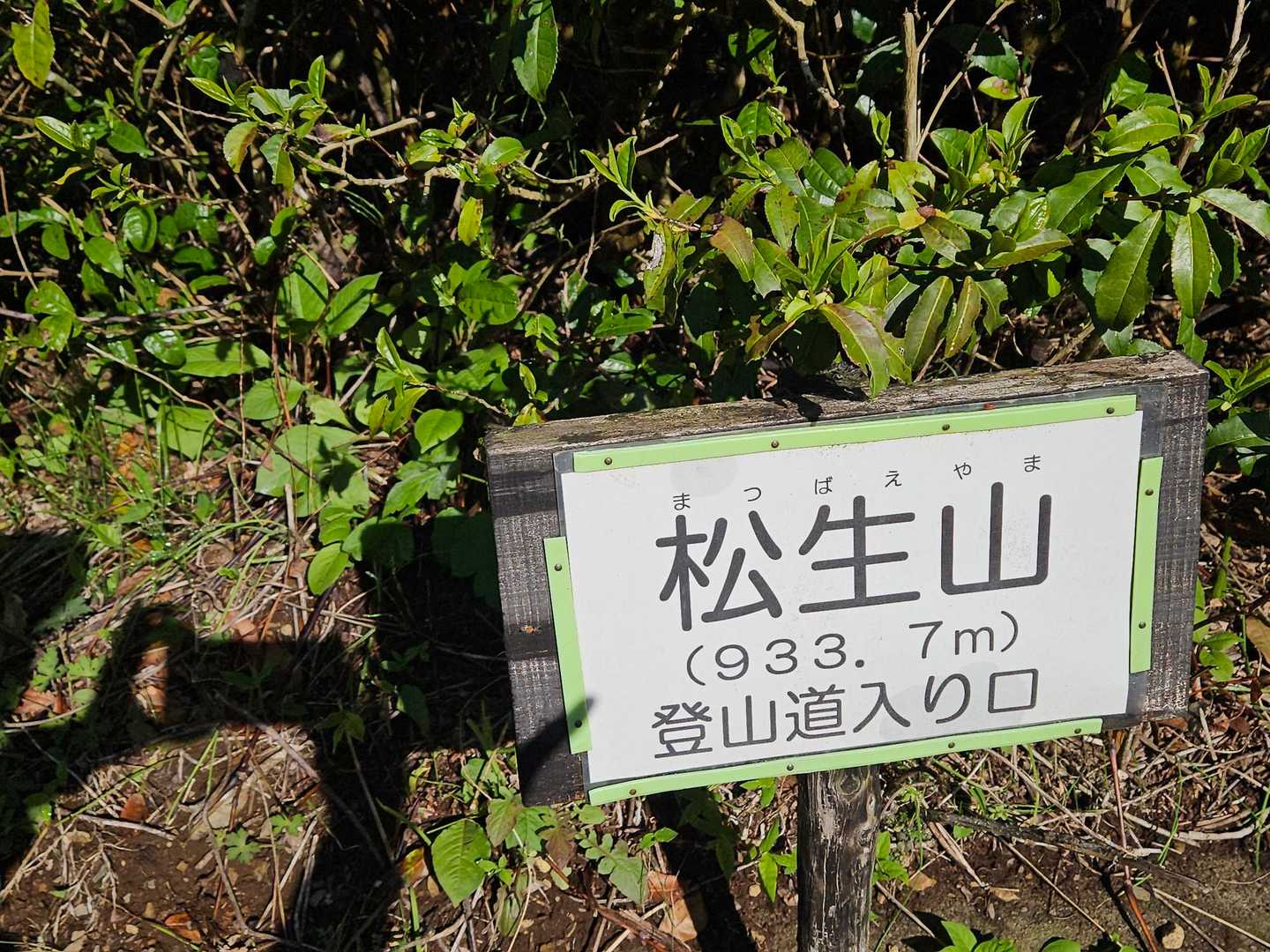 登山口はバス停の近く
ロード歩きほとんど無い