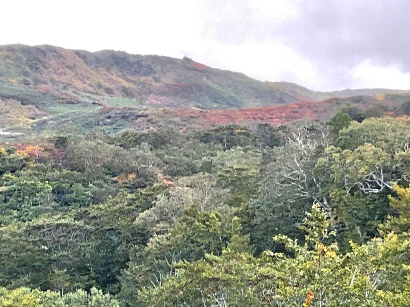 中沼登山口-六沢山-東焼石岳 周回コースの写真