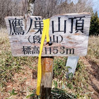 あっという間にとうちゃこ🤭1153m（段戸山）🙌