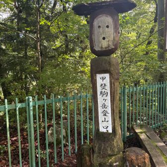 甲斐駒とか行くことあるのかなー？いつかは行ってみたいけど