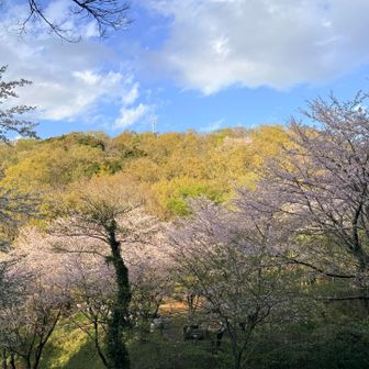 浅間山から見上げた権現山