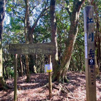 草🌱さんとしばらく話して、江川岳に着きました。「馬が古処(こしょう)くって屛ふったの第四峰 江川岳」何というか説明😂