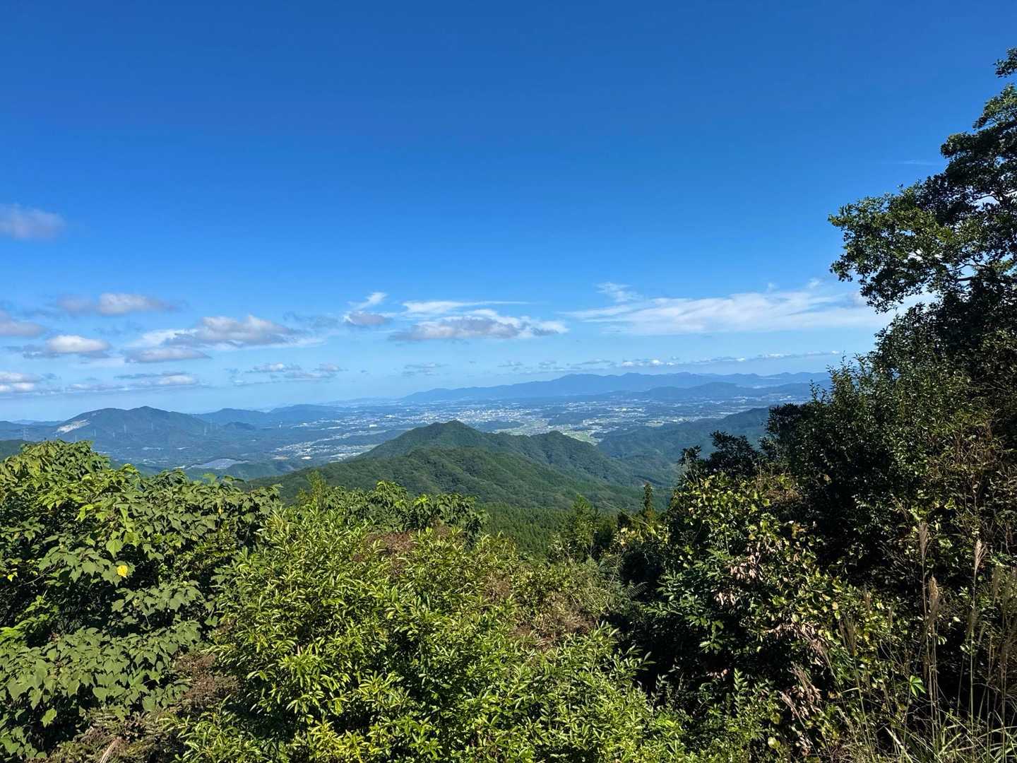 秋晴れのいいお天気です♪