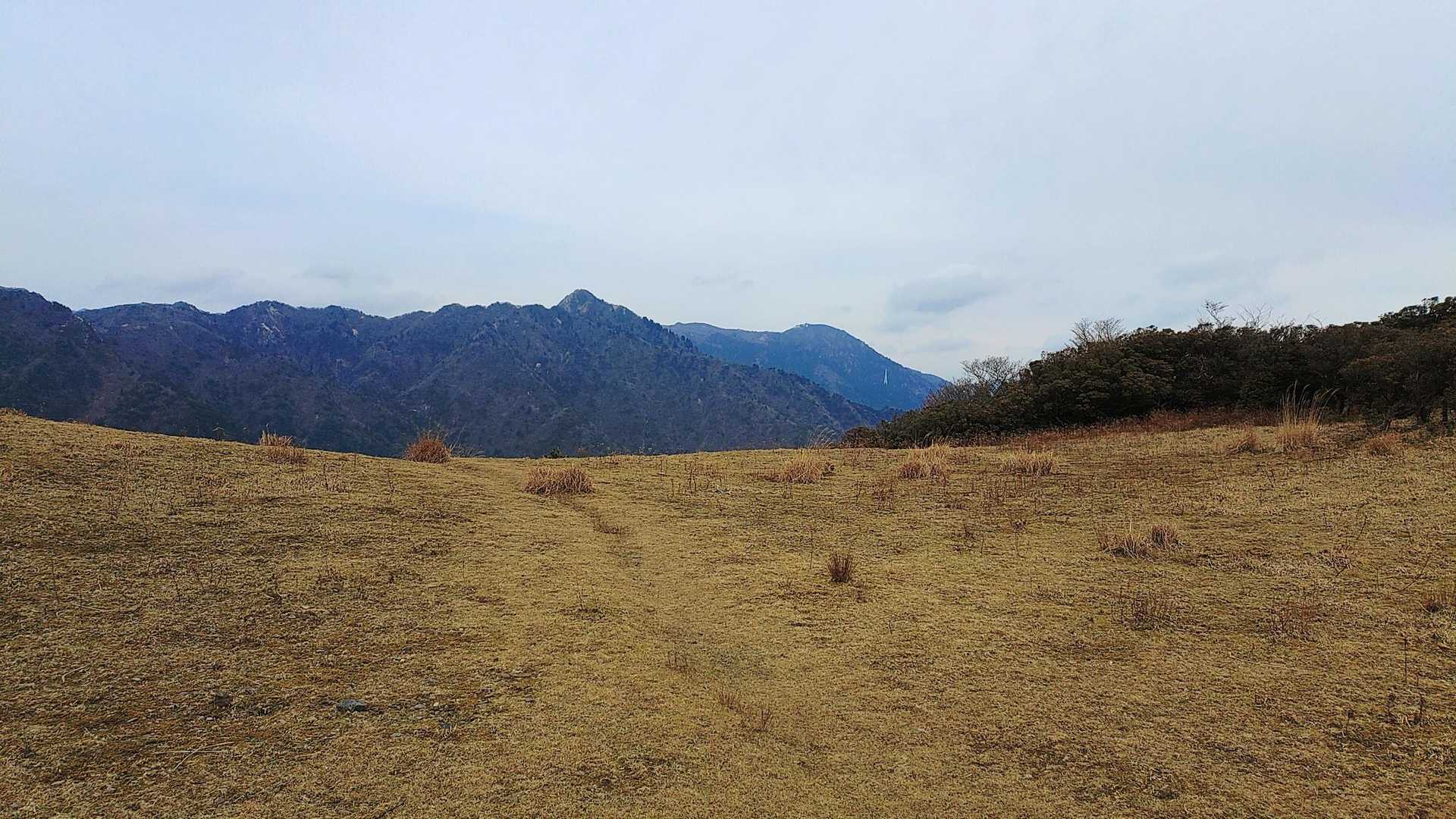 入道ヶ岳 宮妻新道コースの写真