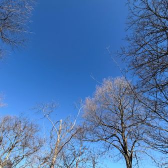空が青いよー💙