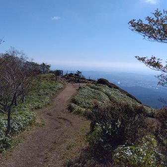 小丸山の全景