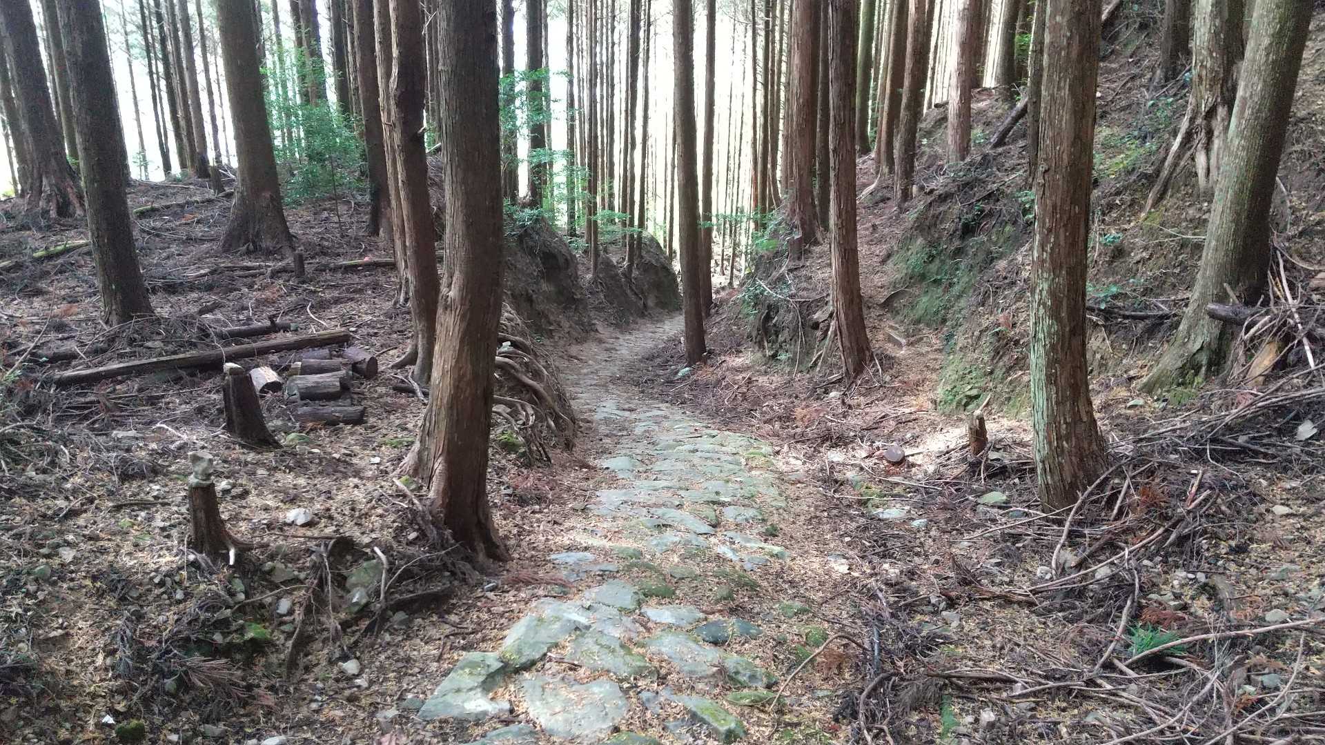 熊野古道っぽい石畳の道を登っていきます。