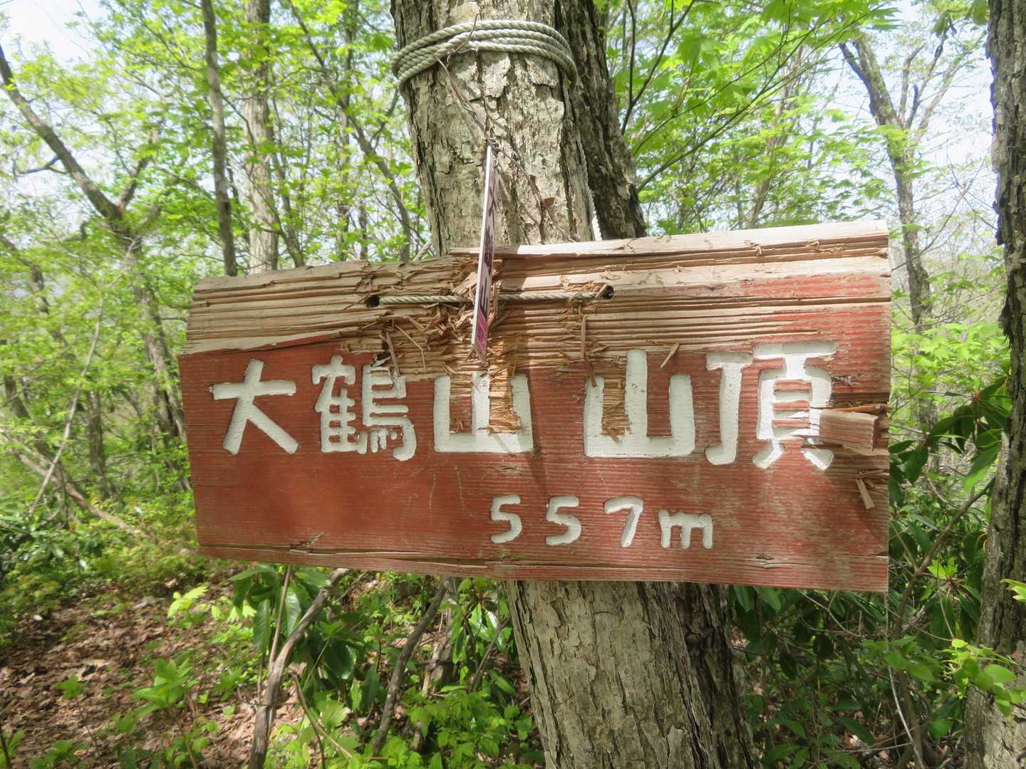 お茶飲んで先に進みます💨