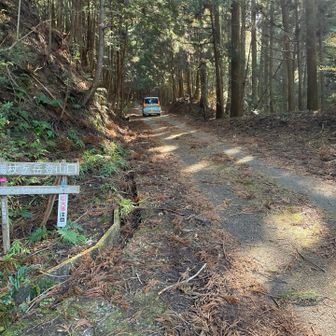 🅿️から直進していく車あり
どこにいけるんだろ