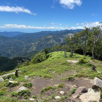 さ、ランチです
アブがとにかく多くてずっとブンブン