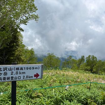 北沢山(1969m)
爽やかな雰囲気のトレラン３人組の方。
その中の１人のレディーが先週の経ヶ岳ラウンドトレイルに出場して年代別の3位🥉👏
で、今週も走ってる🤣強者だ💪✨
楽しんで走ってる。いいね👍🎶
