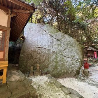 帯石
石の裏側に回れば石のひびに小銭がびっしり差し込まれている