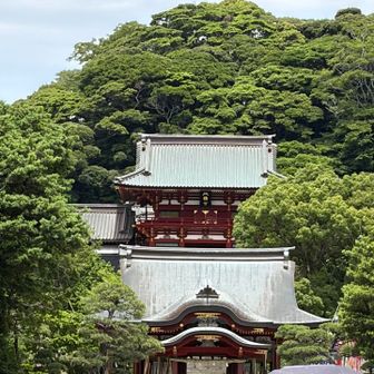 鶴岡八幡宮