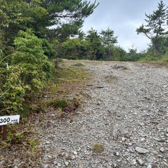ここが山頂👏少し休憩しましょうね٩( *˙0˙*)۶