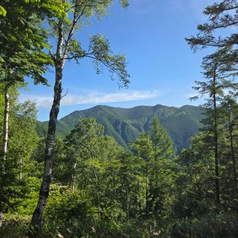 経ヶ岳が見えたけど、あそこまで登るんだ😅