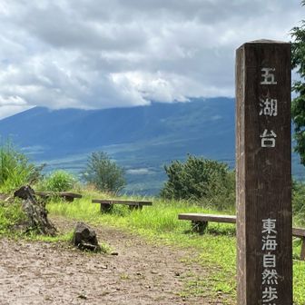 富士山は雲の中