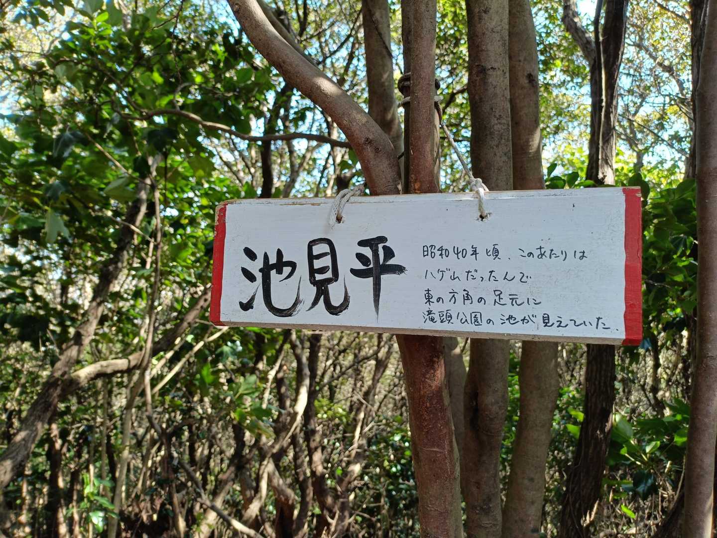 衣笠山 往復コースの写真