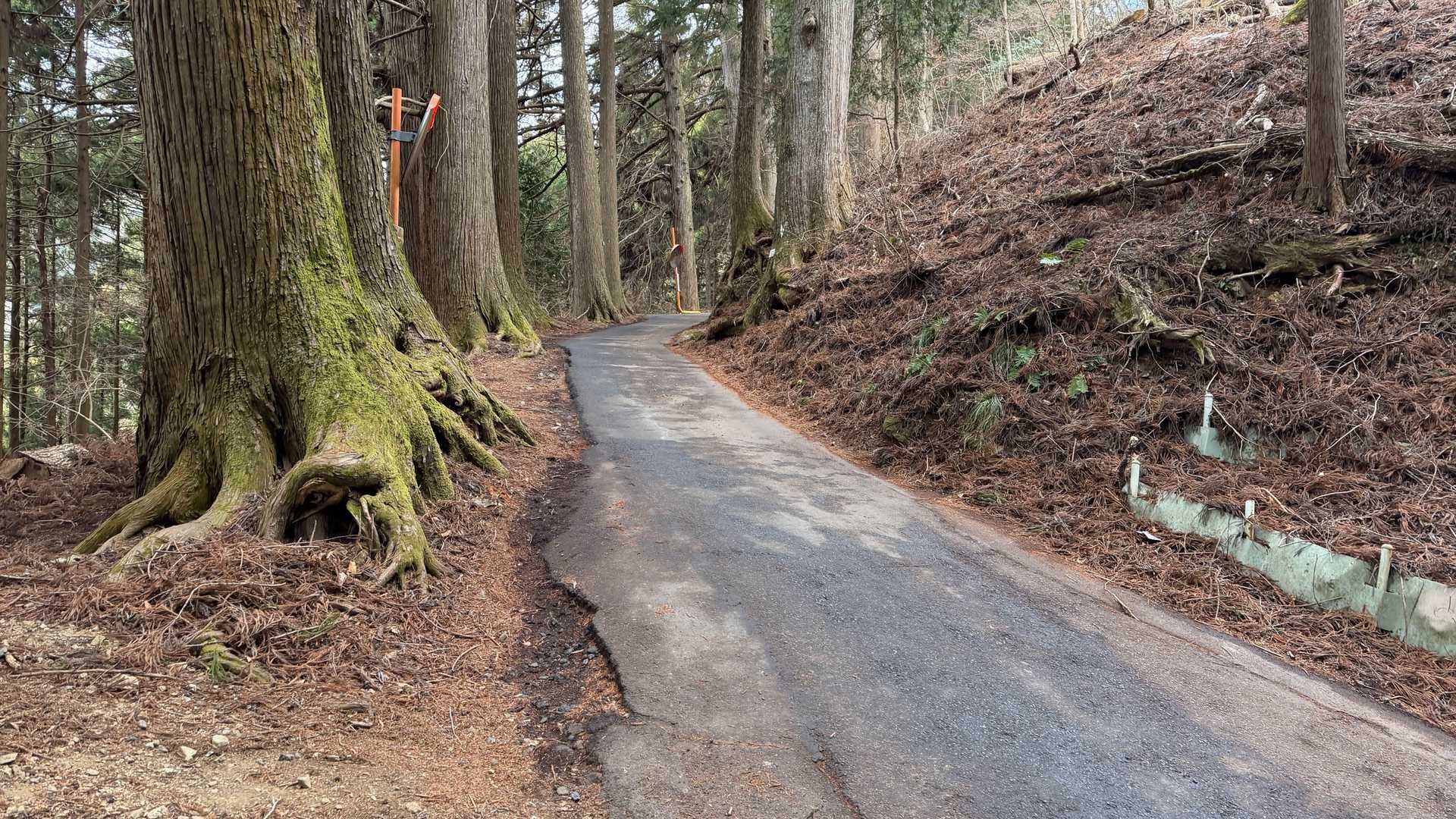 宿坊街と往復する軽自動車が何台も走っています．すごい急坂ですが，対向車が来ると待避できるところまでバック(･o･)　急坂下りのバック怖そ〜(ﾟ_ﾟ;)，上り坂でもタイヤをキュルキュルいわせてバック，さすが(^_^)/