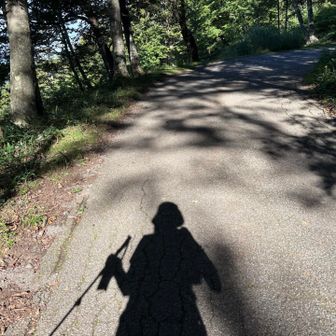 地味にツラい途中のアス道

去年は🦌に遭遇
今年は工事用ダンプとすれ違い
（どちらも怖っ😅）
