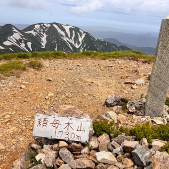 頼母木山登頂　1730m