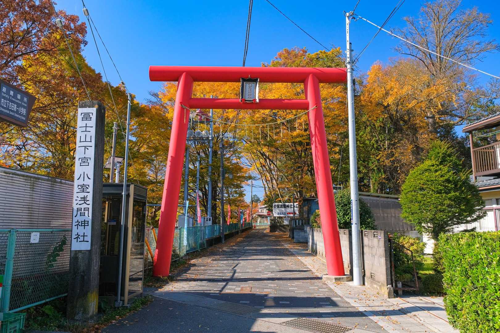 【フラット登山】富士登山ではなく　「富士下山」で裾野の豊かさを知るの写真
