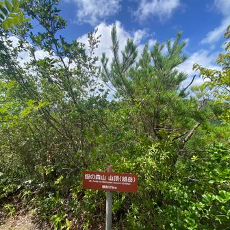 嶽ノ森山雄岳登頂⛰️