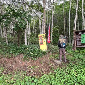 登山口。