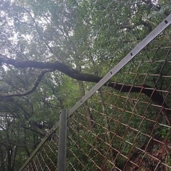 フェンス外は土がもろく滑りやすいですが私にはしっかり道に見えました🔎