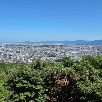 展望台戻ってきました。バードウォッチングの方たち、盛り上がってましたが、自分には何も見えませんでした～😅🍺