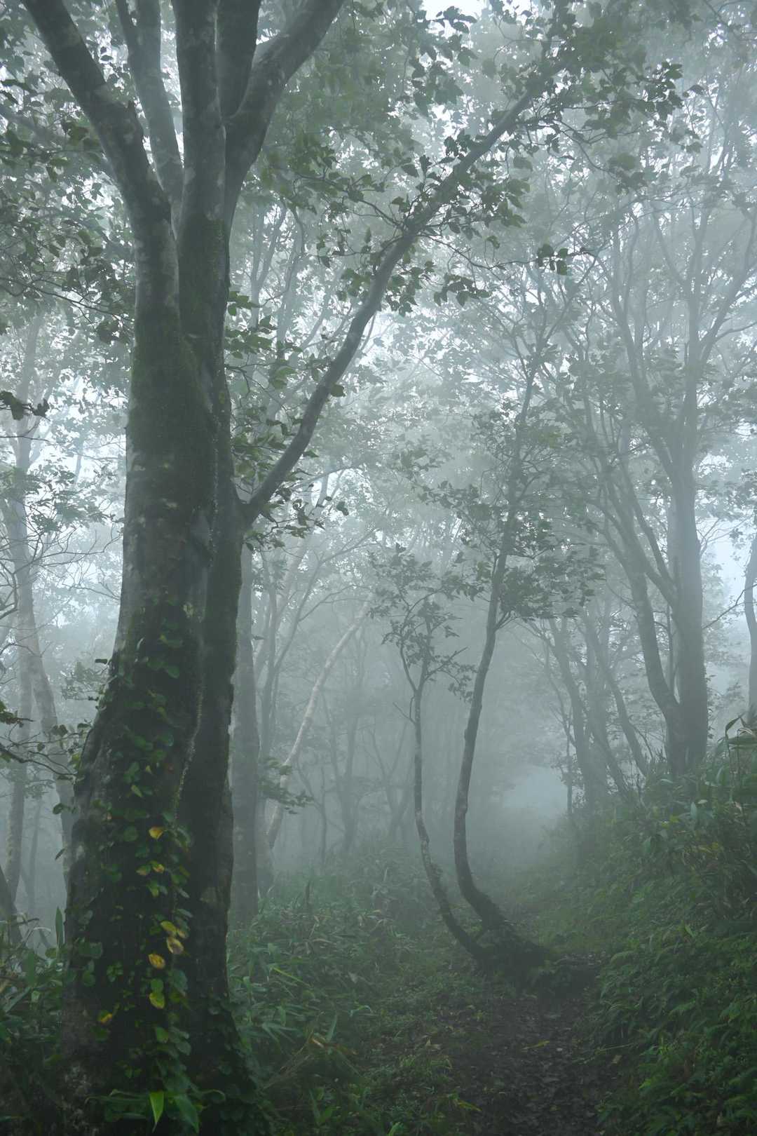 幻想的😍
