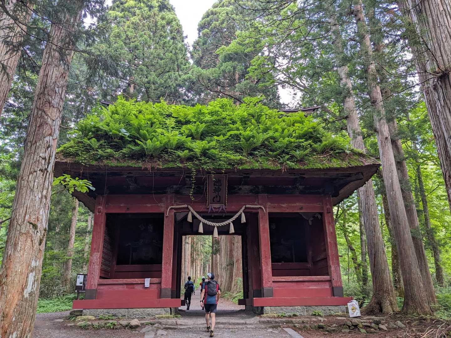 戸隠奥社-戸隠山-九頭龍山-五地蔵山-戸隠キャンプ場バス停 周回コースの写真