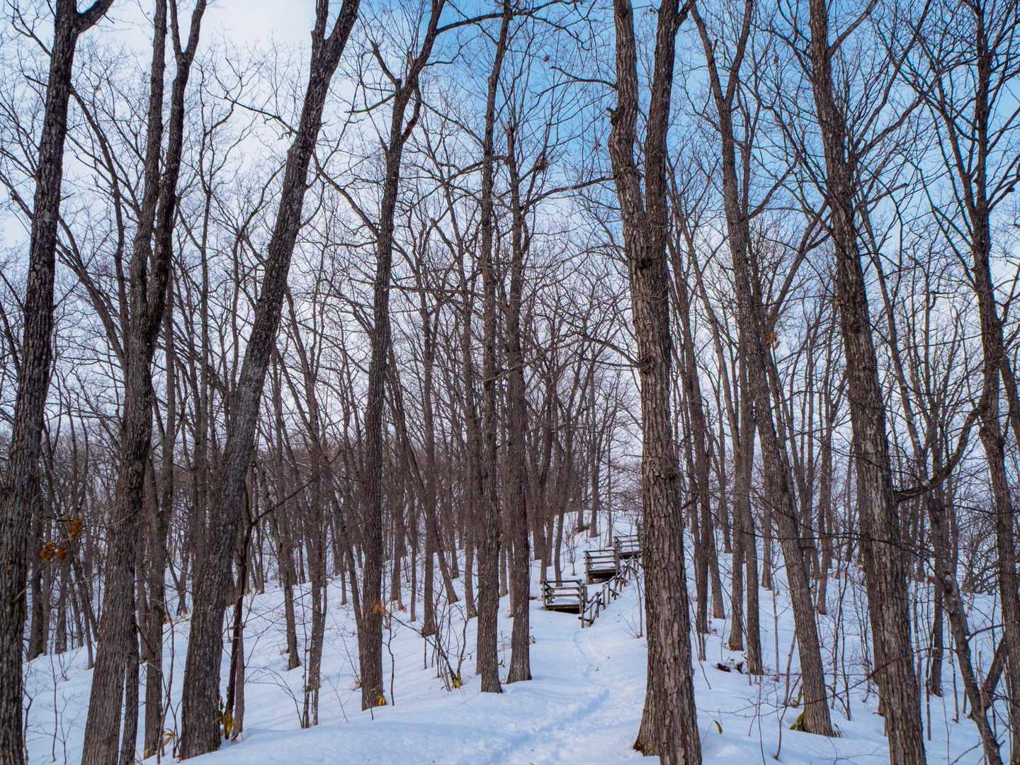 雪少ない❄️ 雲があるように見えるのはたぶん地吹雪みたいに雪が舞い上がってる気がします😂