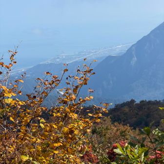糸魚川市街