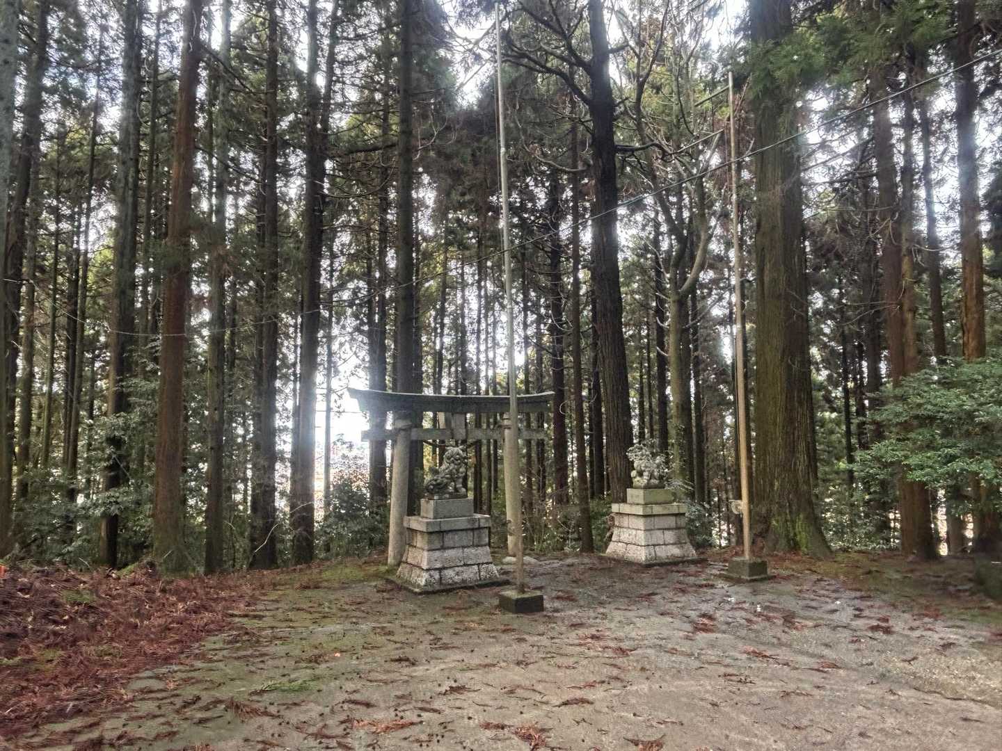 神社⛩️