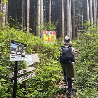 登山道入口