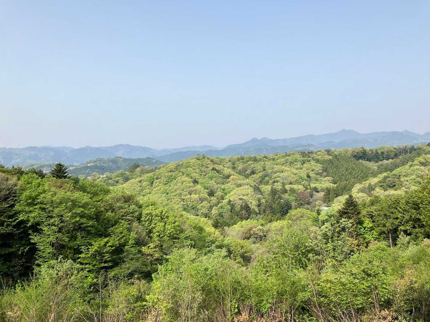 大岳山や浅間嶺が見えます🥰