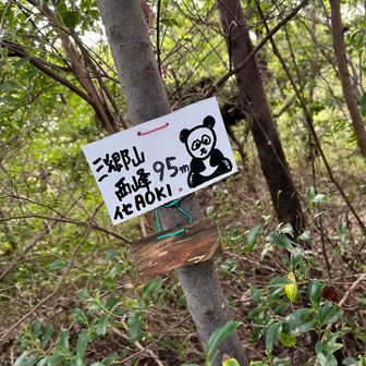 はなひげ山の近くで見つけた

前にうーがきたときは気づかなかったみたい
