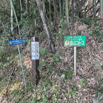 案内通りに歩くなら迷うことはない
