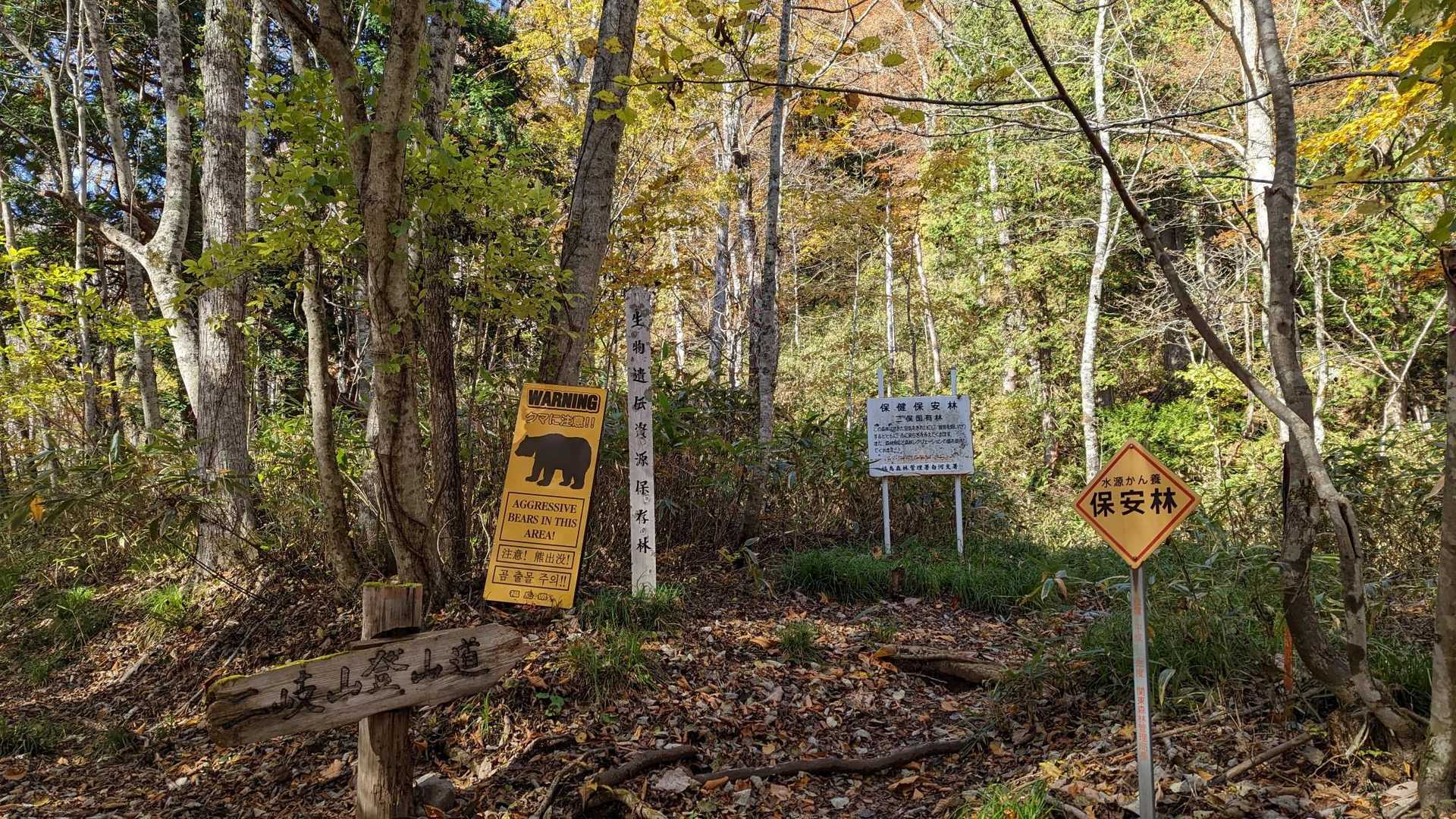 登山口、熊鈴鳴らして入ります🔔ʕ⁠´⁠•⁠ᴥ⁠•⁠`⁠ʔ