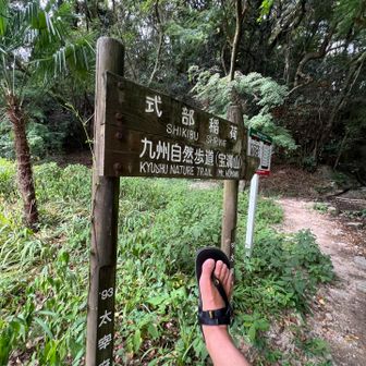 久しぶりに登山口から🩴