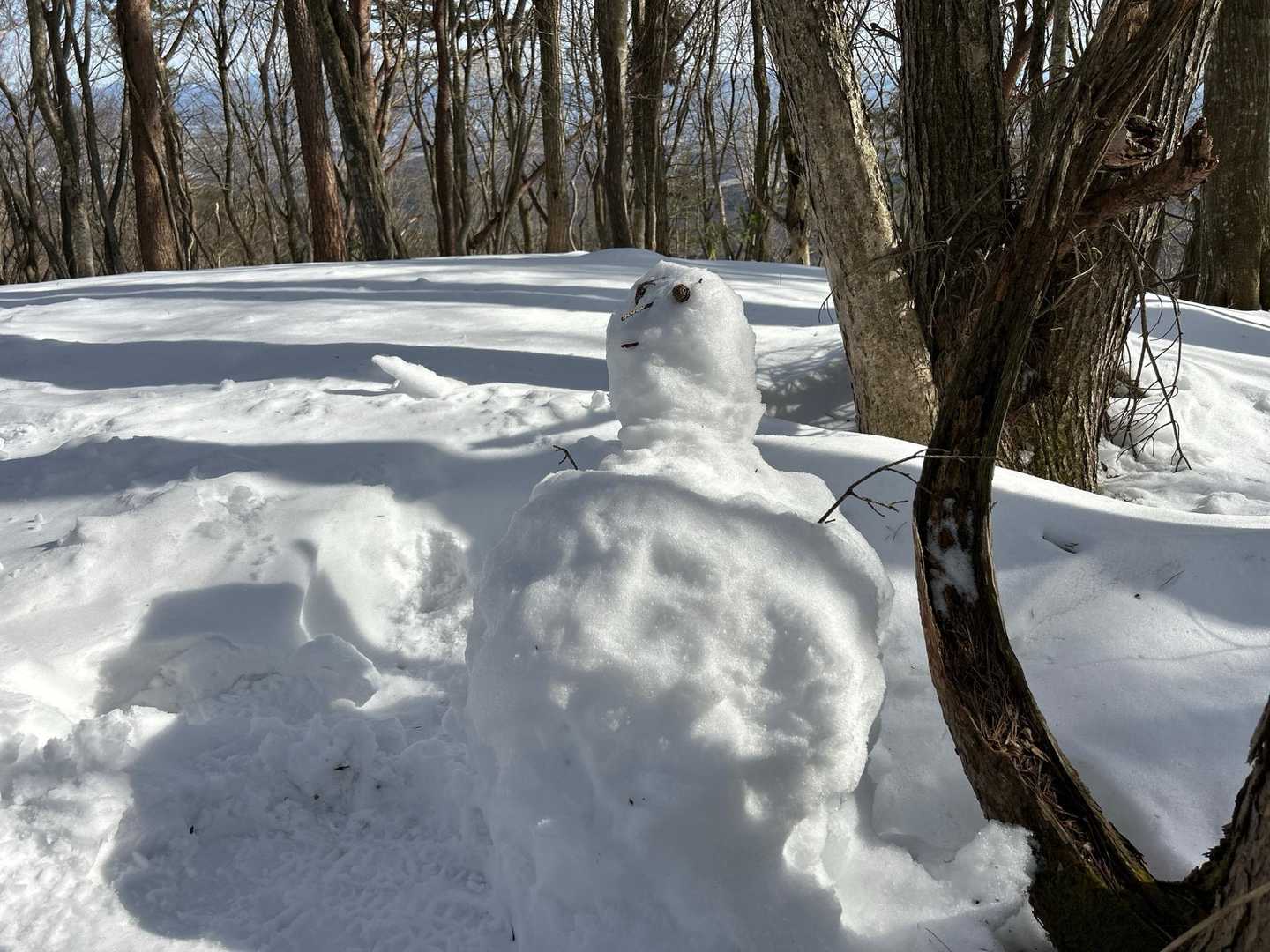 雪だるまが静かに見守っていました。