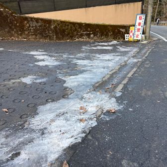 帰ってきました😃