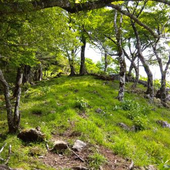 いよいよ山頂⛰️
