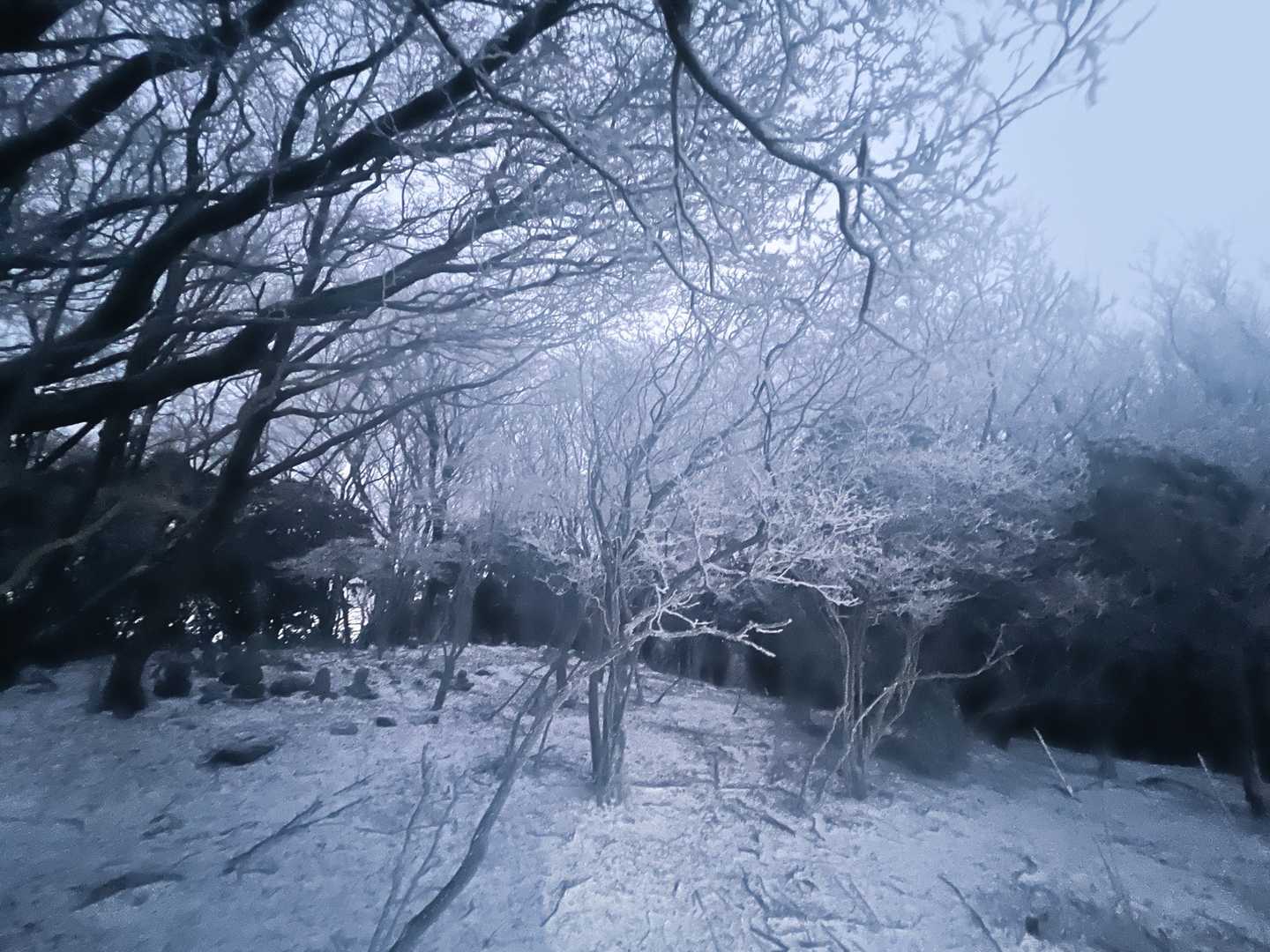霊山寺登山口-霊山 周回コースの写真