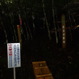 なぜか写真がめちゃくちゃ暗いが、二ヶ月ぶりに山伏峠に出勤。
山行中は一切誰とも会いませんでしたが、下山後駐車スペースに戻ると二台車が停まっていました。
駐車可能台数は五台程度なので、この時期の週末は早着が吉です。