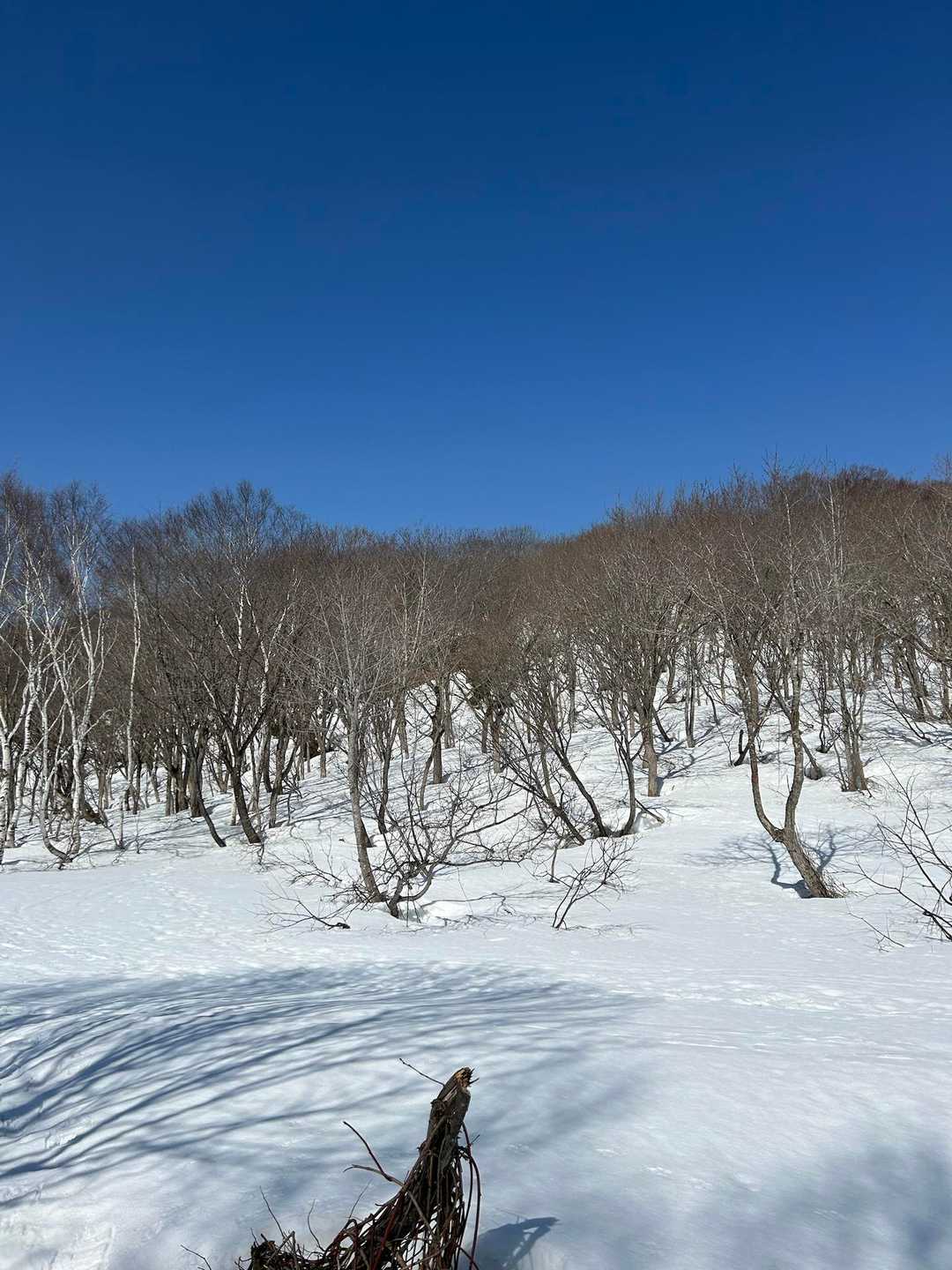 袴岳 往復コースの写真