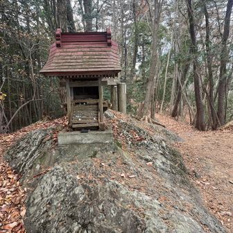 天目指し峠方向に寄り道
愛宕山をピークハント4年前に伊豆ヶ岳からここを通ったなぁ
二度目ましてです