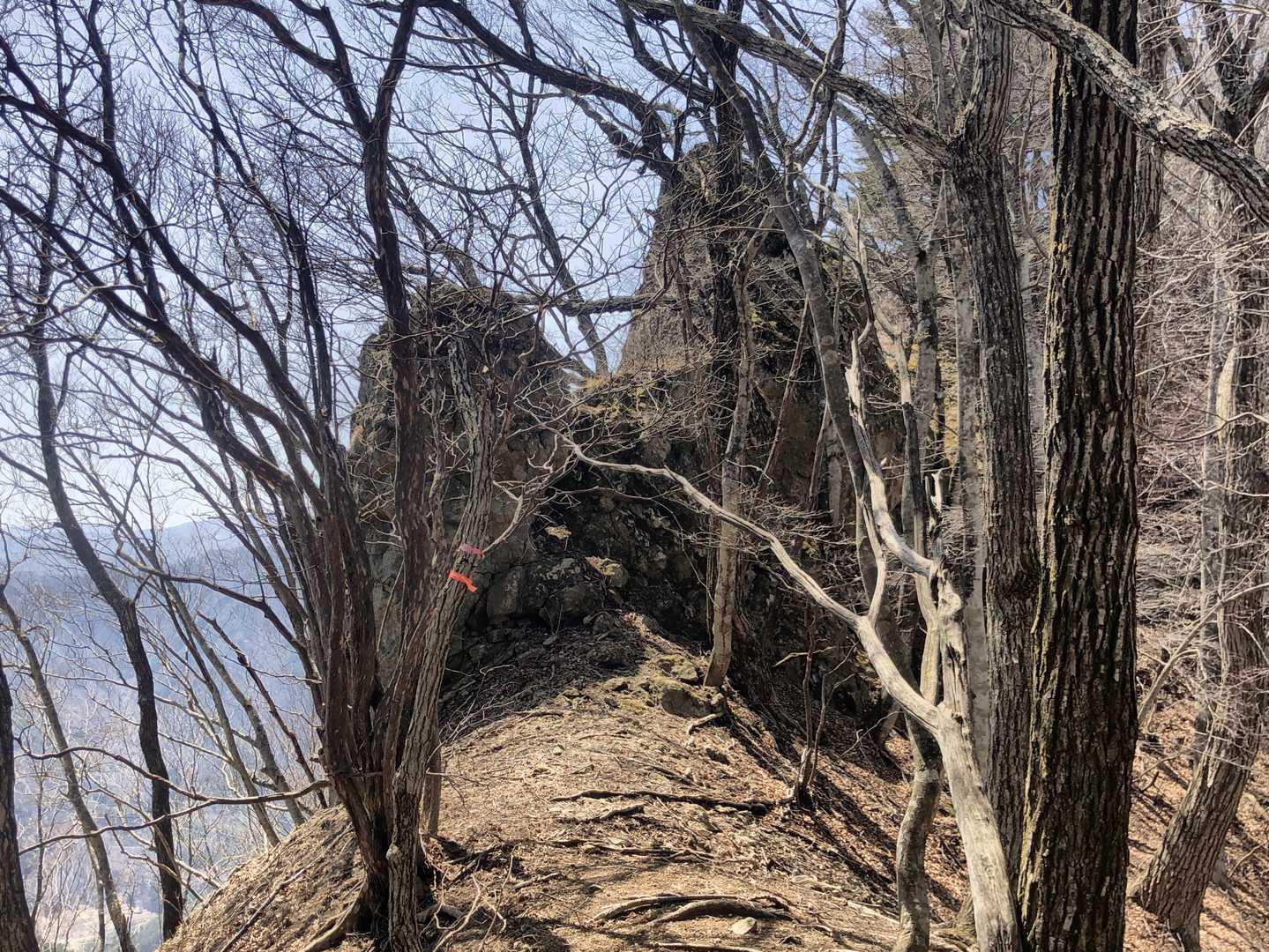 稜線上に居座る巨岩を巻いていく所もいくつか。