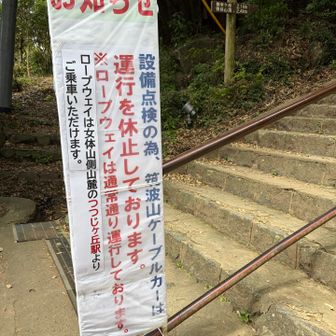 紅葉シーズンに向けて